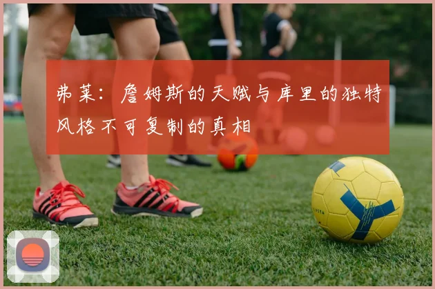 弗莱：詹姆斯的天赋与库里的独特风格不可复制的真相
